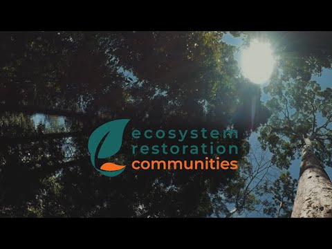 Empower 80+ communities restore their ecosystems