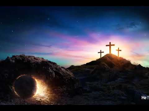 ENDREY NY HAMAROAN'NY SOA - FFPM 537