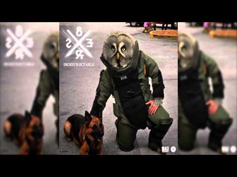 8Er$ - Indestructable