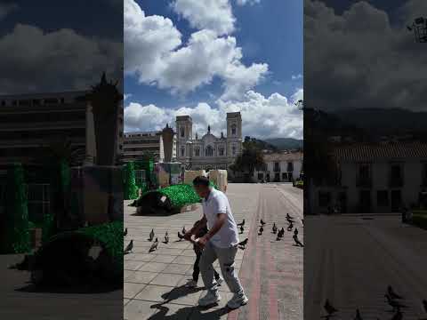 Parque principal de Sogamoso en Boyaca #disconnectbga #boyaca #sogamoso oso