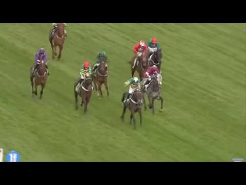 Champion Hurdle 2018 Promo | Buveur D'air vs Faugheen