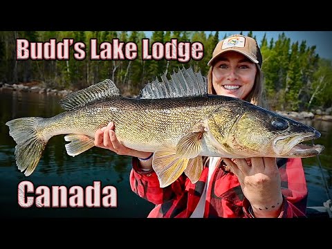 Babe Winkelman Fishing Canada for HUGE Walleye | Budd's Gunisao Lake Lodge Manitoba Canada - Part 1