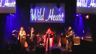 Wild Heart - A Tribute To Stevie Nicks & Fleetwood Mac