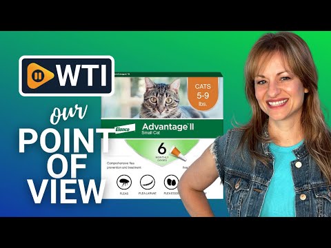 Advantage II Small Cat Vet-Recommended Flea Treatment & Prevention | Cats 5-9 lbs. | 6-Month Supply 6 Pack Small Cat only - WTI product video review