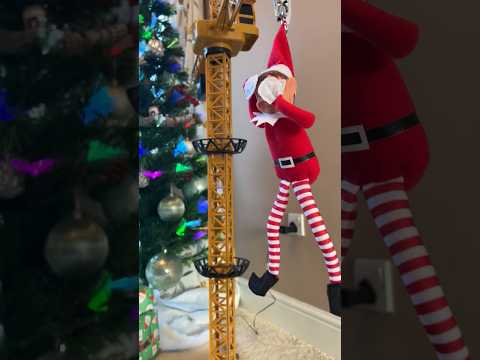 Elf On the Shelf playing Pranks #holidayswithshorts