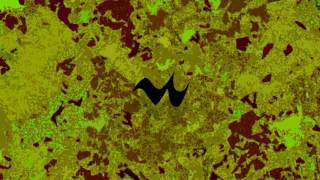 Tall Black Guy - Peace and Love ft. Masego and Rommel Donald (528 hz)