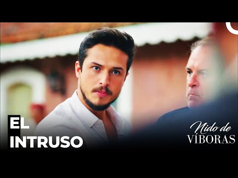 La Respuesta Que Le Enoja A Ejder - Nido De Víboras