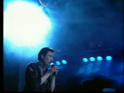 wapadarim( uyghurqa)