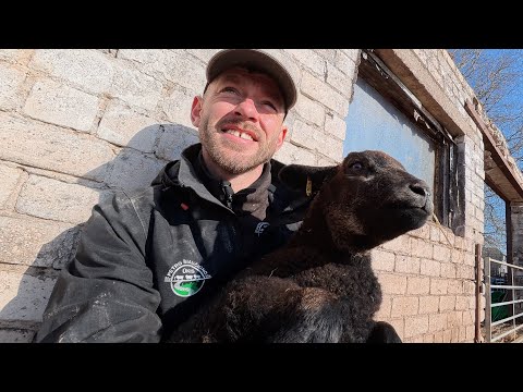 2026 Spring#2 Pavasaris atėjo bet rankos nekyla