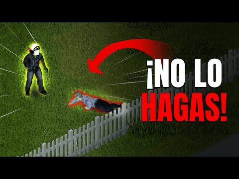 TIPS I WISH I'D KNOWN WHEN STARTING ON PROJECT ZOMBID