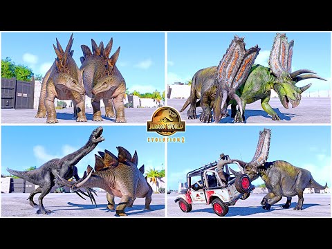 Stegosaurus & Pentaceratops All Perfect Animations & Interactions 🦖 Jurassic World Evolution 2 - JWE