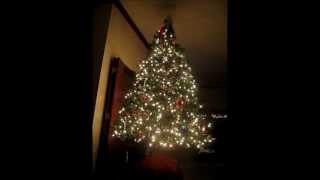 2012 Christmas Tree