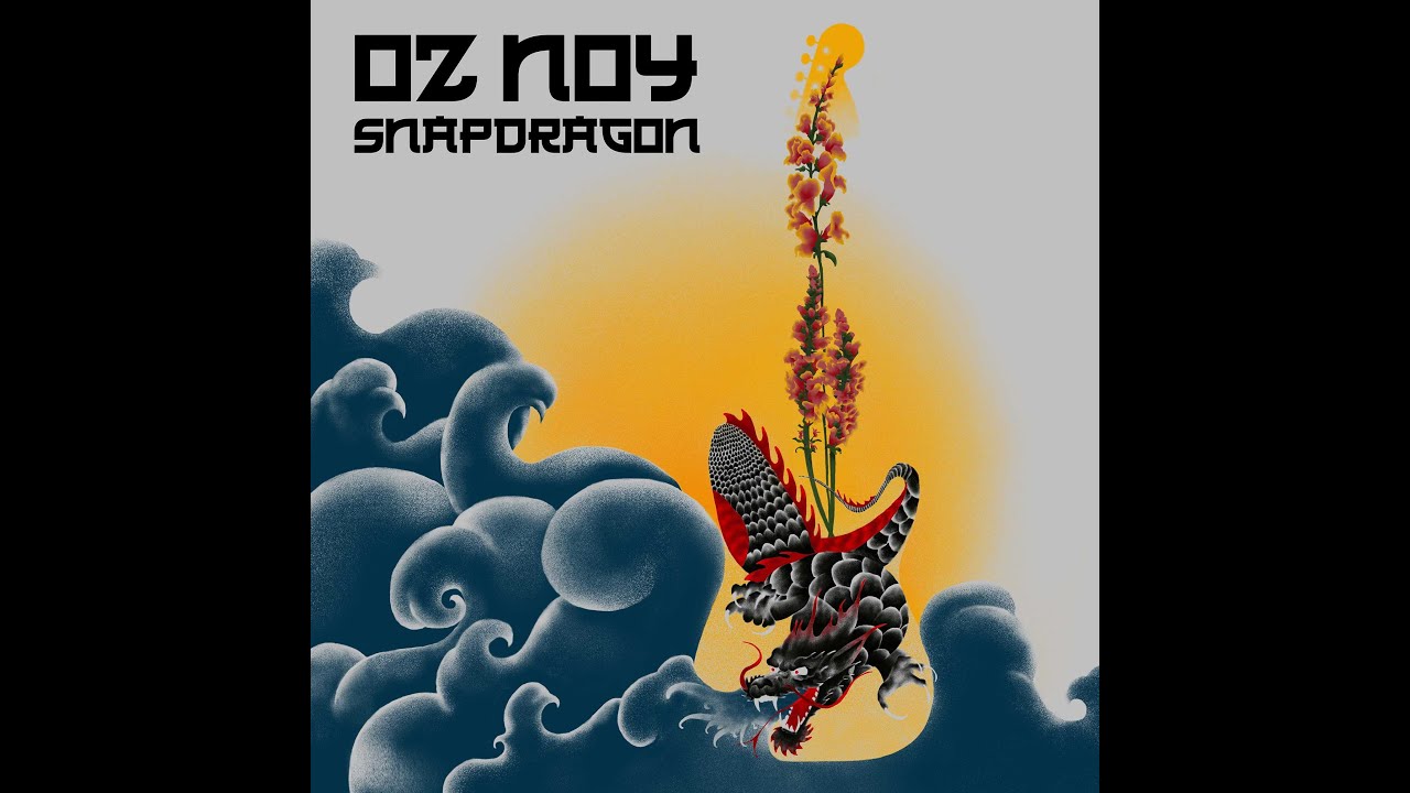 Oz Noy : Looni Tooni (Snapdragon) with Dennis Chambers, Will Lee, John Sneider, Brian Charette,