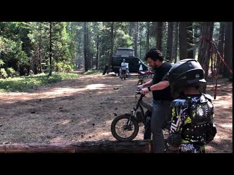 Dirty Rides a Big Pole