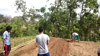 Download lagu ARSIP PUTU!!! NGGARAP SAWAH I BUTUH SRIHARJO IMOGIRI mp3 Download lagu ARSIP PUTU!!! NGGARAP SAWAH I BUTUH SRIHARJO IMOGIRI mp3