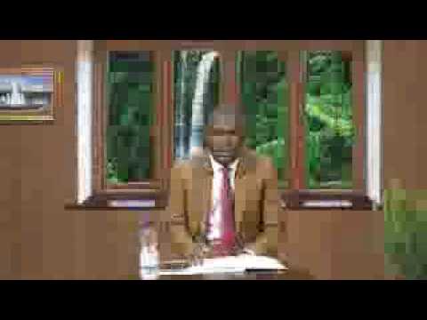 THE DAILY FOUNTAIN, JULY 29TH, 2017