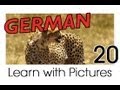 Learn - German Safari Animals Vocabulary 