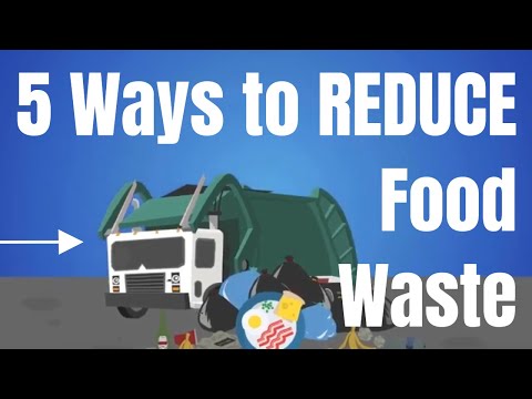 5 Easy Food Waste Solutions | Food Waste Recycling at Home