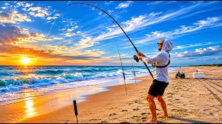 EPIC Surf Fishing - Endangered Species ALERT - NC Surf Fishing