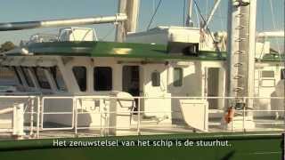 The New Rainbow Warrior