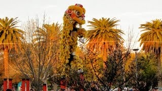 preview picture of video 'Jin Wu Koon 2013 Dubbo Lion Dance Performance'