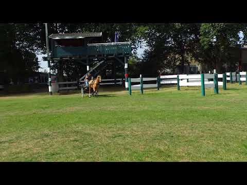 Fahrturnier Ostenfelde 15.8.2021