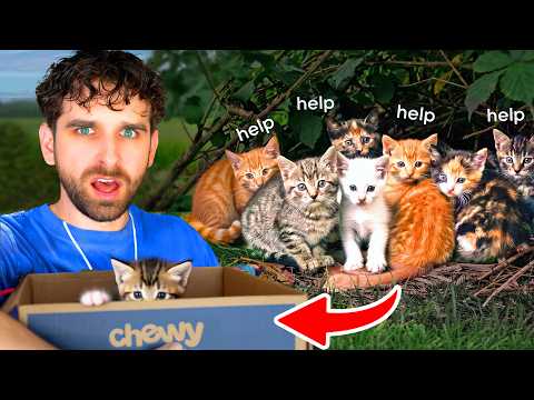 YouTube Thumbnail