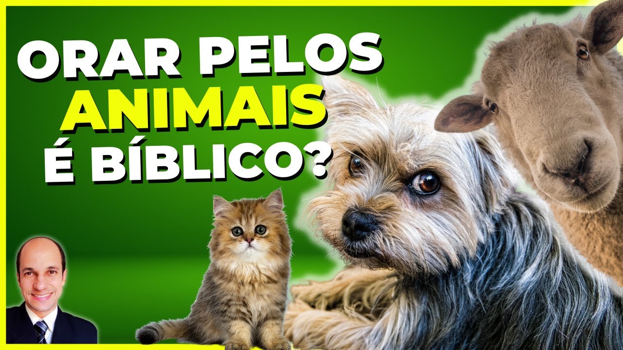 A Bíblia NÃO PERMITE ORAR PELOS ANIMAIS...