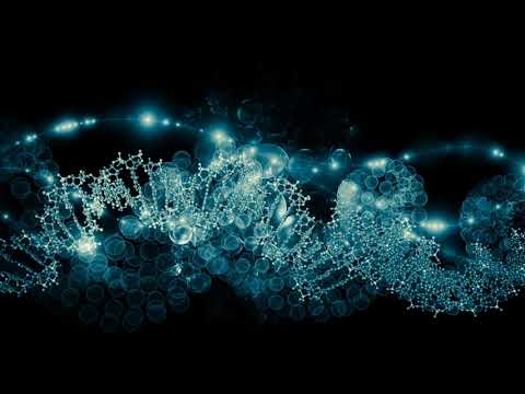 Denny Loco: Percussione Molecolare (Sapienta Remix)