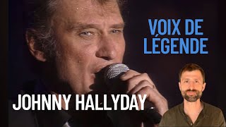 Voix de légende, épisode 1: Johnny Hallyday, Je te promets