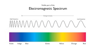 Color in Our World | The Electromagnetic Spectrum | Arbor Scientific