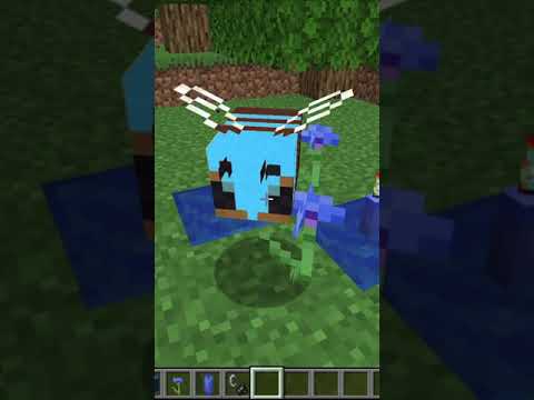 How to summon a Magic Bee in Minecraft