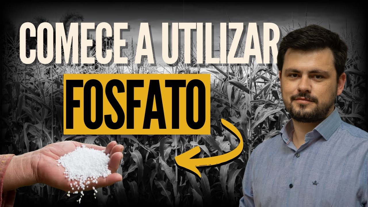 Comece a usar fosfato natural na sua área