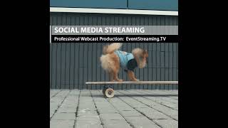 Social Media Webcast & Production