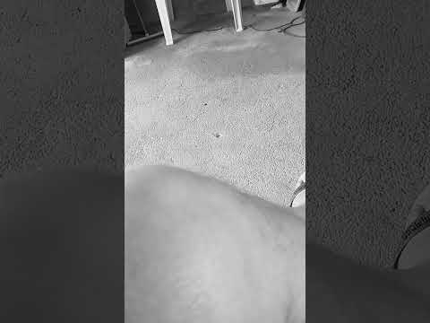 9 de novembro de 2025