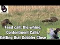 Feed Call Whine Contentment Calls Getting That GOBBLER Close