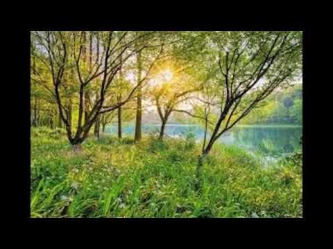 Love Emotions Relax and Sex Music 2015 Top10