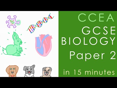 All of CCEA BIOLOGY Paper 2 in 15 minutes - GCSE Science Revision