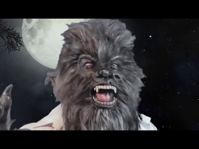 Vídeo relacionado con Boland 97515 Máscara Lupo Mannaro Werewolf de látex con pelo, gris, talla única