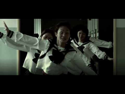 Dic 954 - Veltpunch