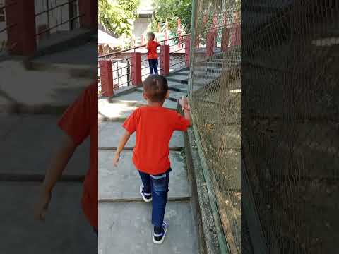 Jalan-jalan di Jembangan Wisata Alam Kebumen