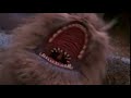 Fizzgig scream !!!