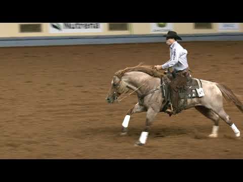 Quahadi - 2019 AQHA World Show Sr. Cow Horse Finals