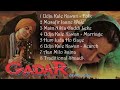 Gadar Ek prem katha Jukebox | Sunny Deol, Ameesha Patel, Amrish puri  | Hindi Song