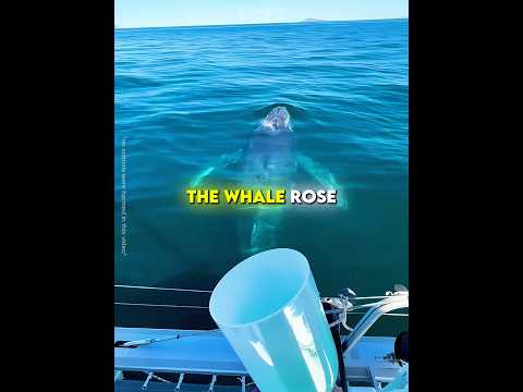 This girl made a new friend ♥️  #shorts