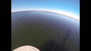 Nacho Daddy's Spoon (Hooked Up)