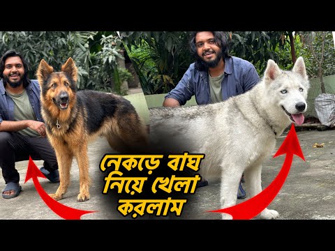বাংলাদেশে পোষা প্রাণীর খামার পরিদর্শন । Visiting pet farms in Bangladesh @petmanbd