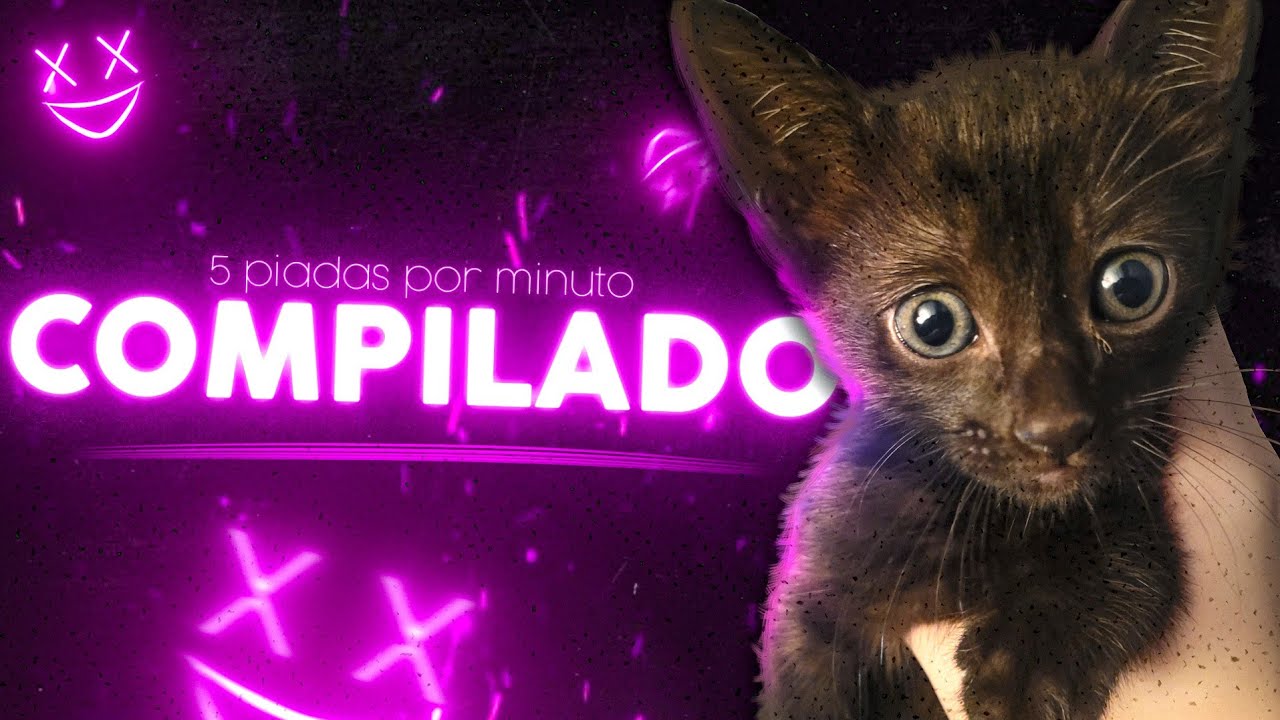 COMPILADO | 5 piadas por minuto | Alochan