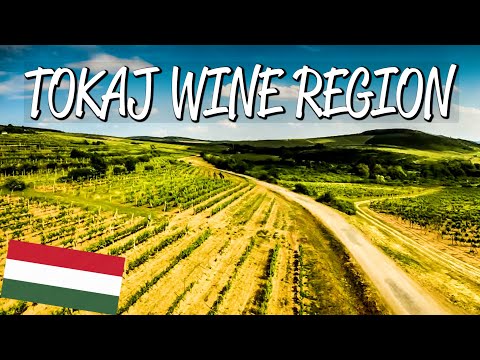 Tokaj Wine Region - UNESCO World Heritage Site