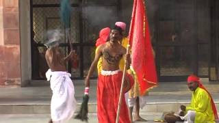 Glimpses of tribal culture(IGRMS)